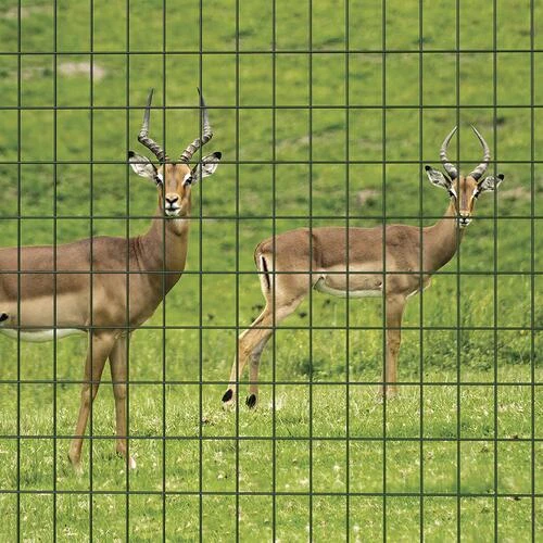 Yardworks 2' X 25' Green Vinyl-Coated Wire Fence 3 Yardworks 2' X 25' Green Vinyl-Coated Wire Fence - Image 3