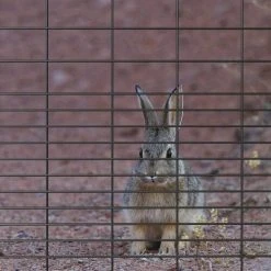 Yardworks 2' X 50' Charcoal Rabbit Guard Fence 7 Yardworks 2' X 50' Charcoal Rabbit Guard Fence -Outdoor Haven 17127142