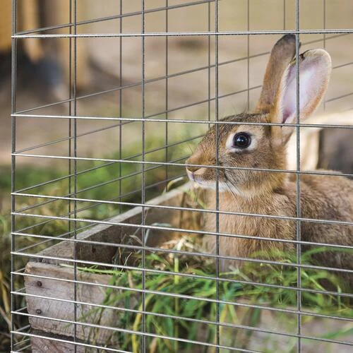 Yardworks 3'4" X 50' Galvanized Rabbit Guard Fence 3 Yardworks 3'4" X 50' Galvanized Rabbit Guard Fence - Image 3