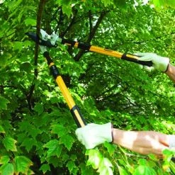 Yardworks® Ratcheting Bypass Lopper With Telescopic Handles -Outdoor Haven 2650117 scene2