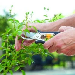 Yardworks Yarkworks® 2-Piece Bypass Pruner & Floral Shears Set -Outdoor Haven 2650121 scene1