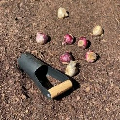 Yardworks® Wood Handle Bulb Planter -Outdoor Haven 2653389 BulbPlanter 4 withBulbs