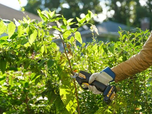 Yardworks™ 20-Volt Cordless Pruner 2 Yardworks™ 20-Volt Cordless Pruner - Image 2