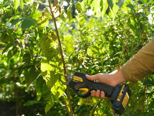 Yardworks™ 20-Volt Cordless Pruner 3 Yardworks™ 20-Volt Cordless Pruner - Image 3